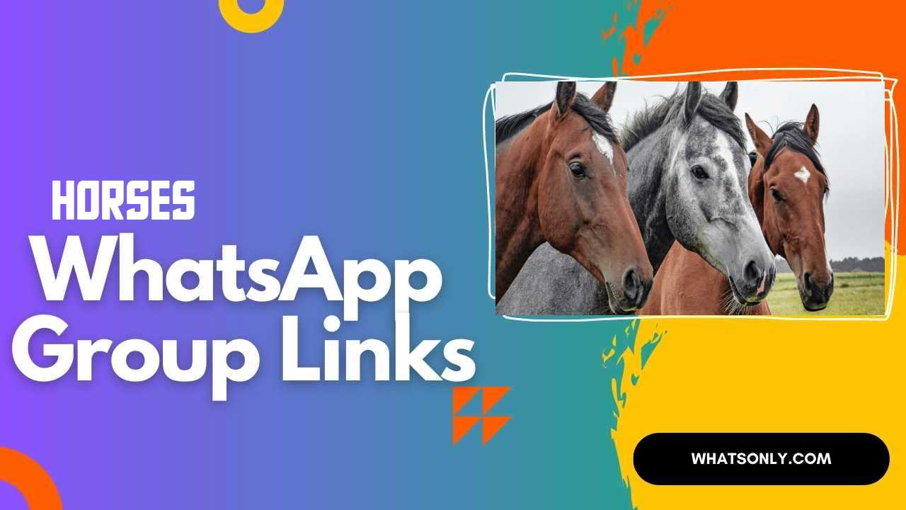 Horses WhatsApp Group Links